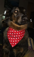 Hundehalstuch